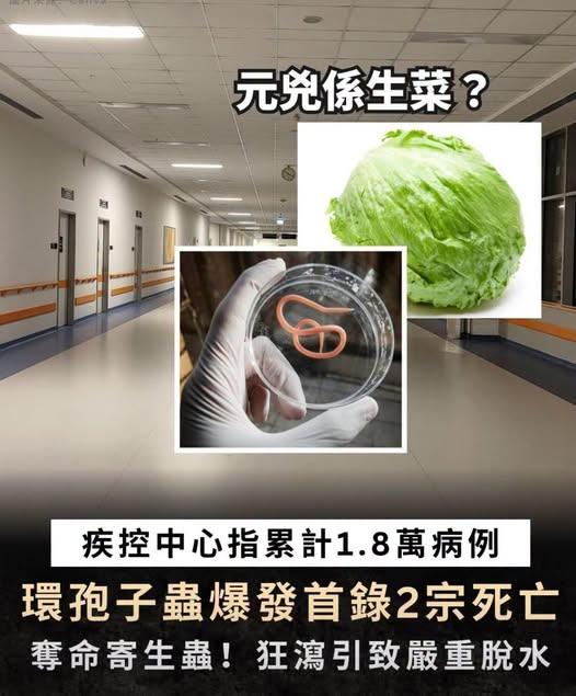 美國爆發近年最大規模環孢子蟲（Cyclospora）疫情，生菜係原兇?